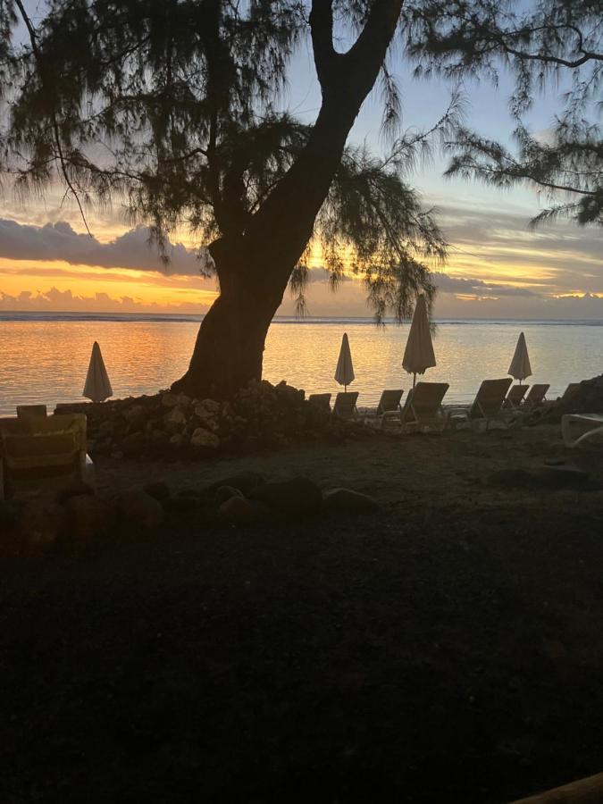 Kazacoco Bungalow A 5 Min A Pieds Du Lagon ラ・サリーヌ・レ・バン エクステリア 写真